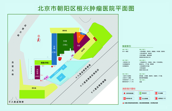 抽插白浆网站北京市朝阳区桓兴肿瘤医院平面图